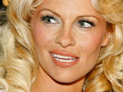 Hot Wallpapers Pictures: PAMELA HOT WALLPAPERS