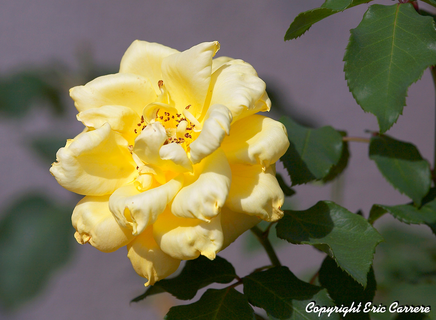 [67185977.aOF2DNCb.IMG_1432s.jpg]
