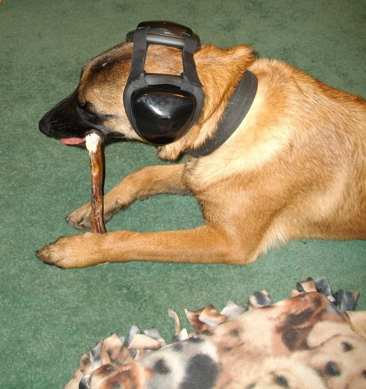 Dog Gone Happy Mutt Muffs