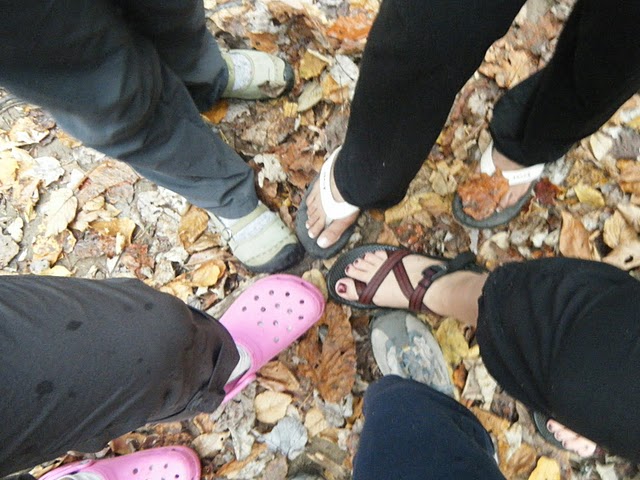 Ms. Trivedi's 6th and 7th Grade MST: October 2010