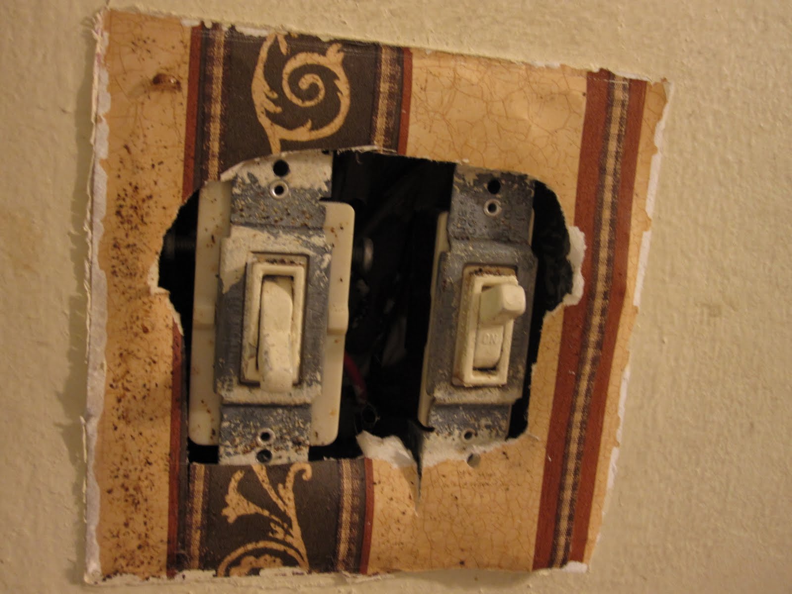 Beauty and Inspiration Tutorial Tuesday How to Replace a Light Switch