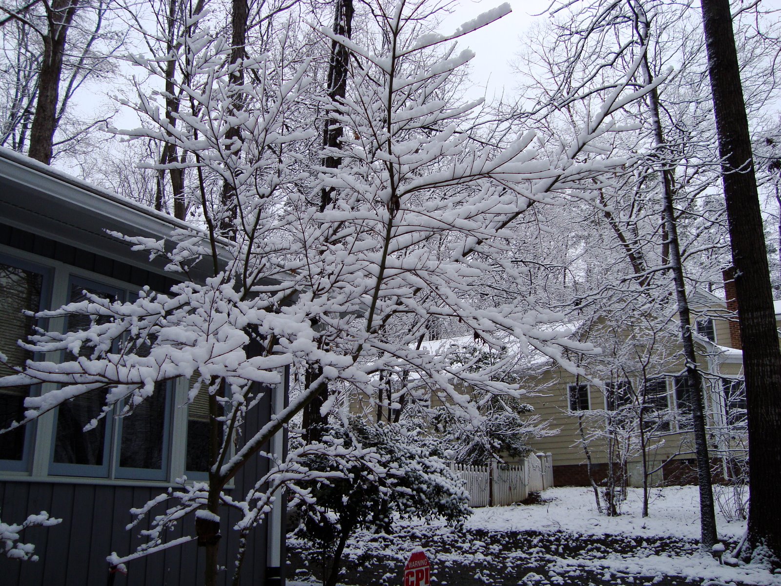 [north+carolina+and+before+300.jpg]