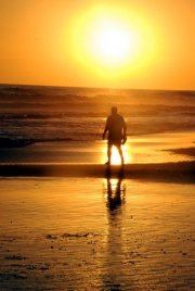 [a1283680594_254452_2323.jpg]