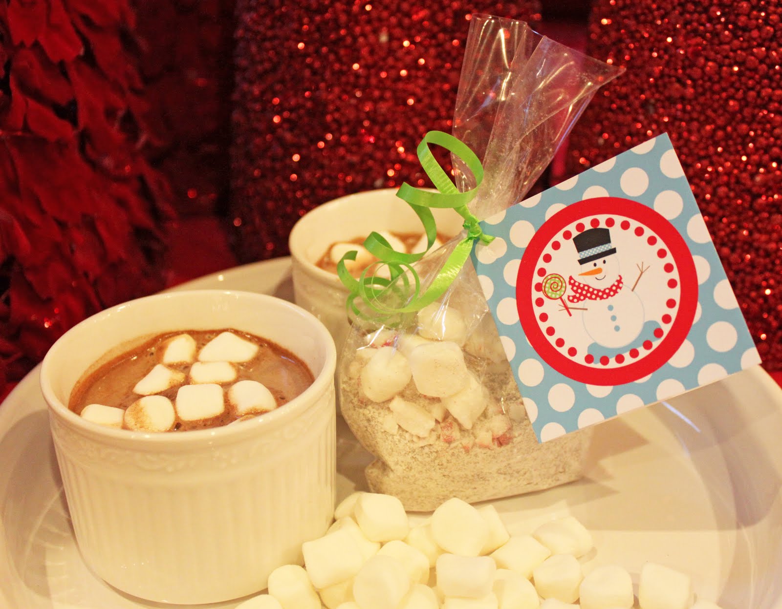 Amanda's Parties To Go EASY Homemade Hot Chocolate Gifts