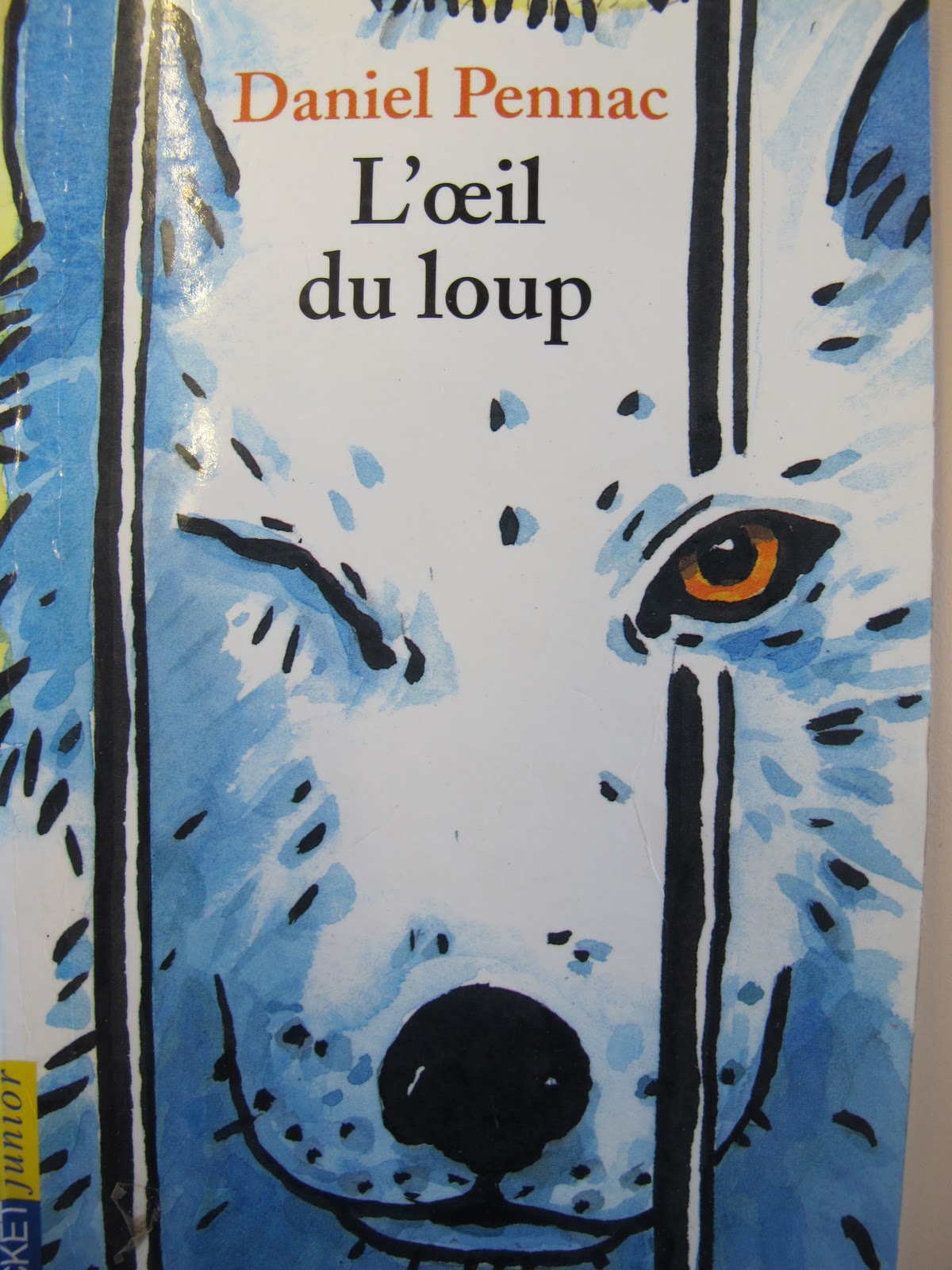 L Oeil Du Loup Résumé Par Chapitre le blog des joyeux loustics de la Busserade: L'oeil du loup.