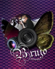 Click To Visit Website: