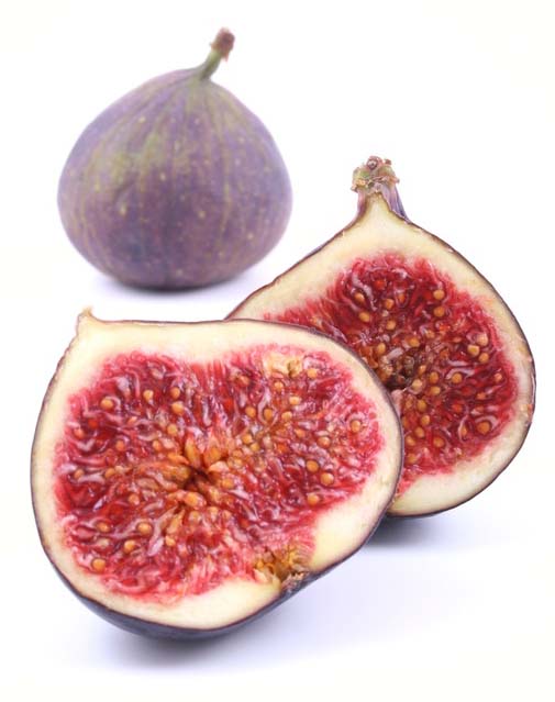 F o r k i n g D e l i c i o u s ! Getting a Jump on Fig Season
