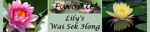 Lily's Wai Sek Hong - Favorites