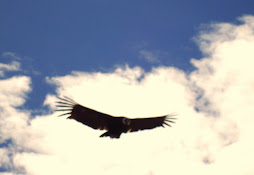 El condor pasa