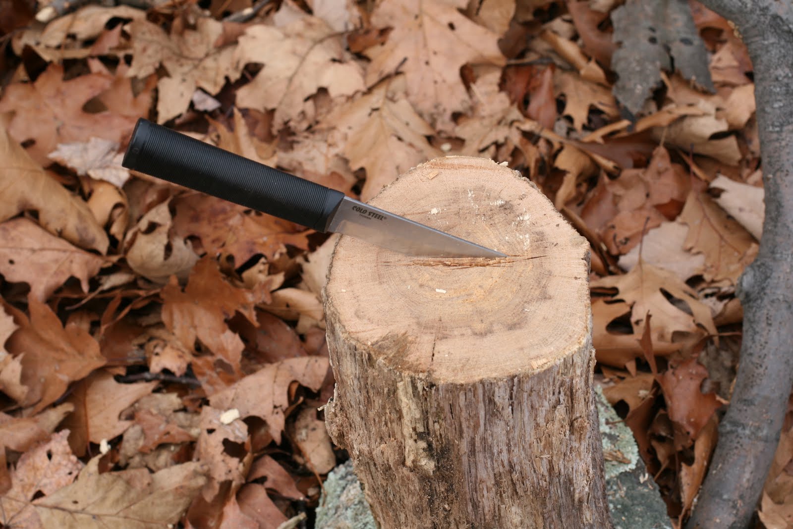 Photograph SLR How to Split a Big Log With a Little Knife