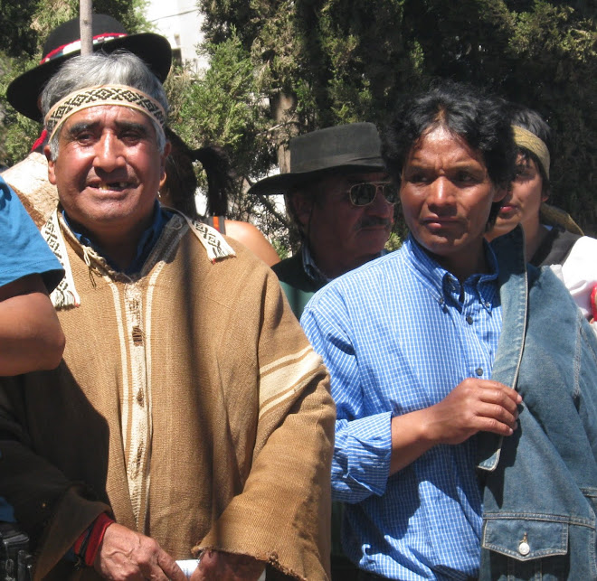 MARCHA EN NEHUEQUEN CONTRA LA MUNICIPALIZACION DEL TERRITORIO MAPUCHE