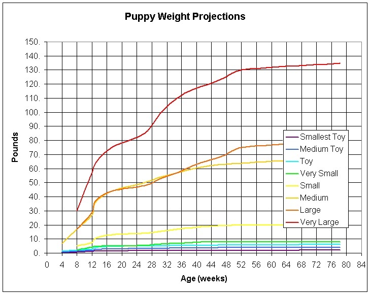 Emrys Eustace hath a BroomBlog Puppy Weight Predictions