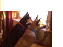 The dynamic duo