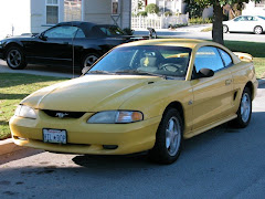 Mustang Before