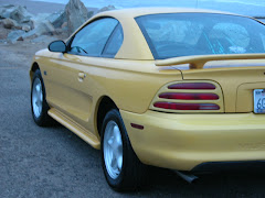 Mustang After
