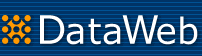DataWeb: Web Databases Quickly and Easily