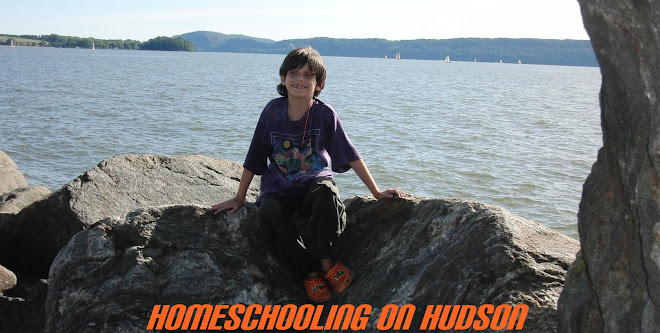 Homeschooling on Hudson 2010-20111