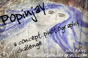 [popinjaybutton.jpg]