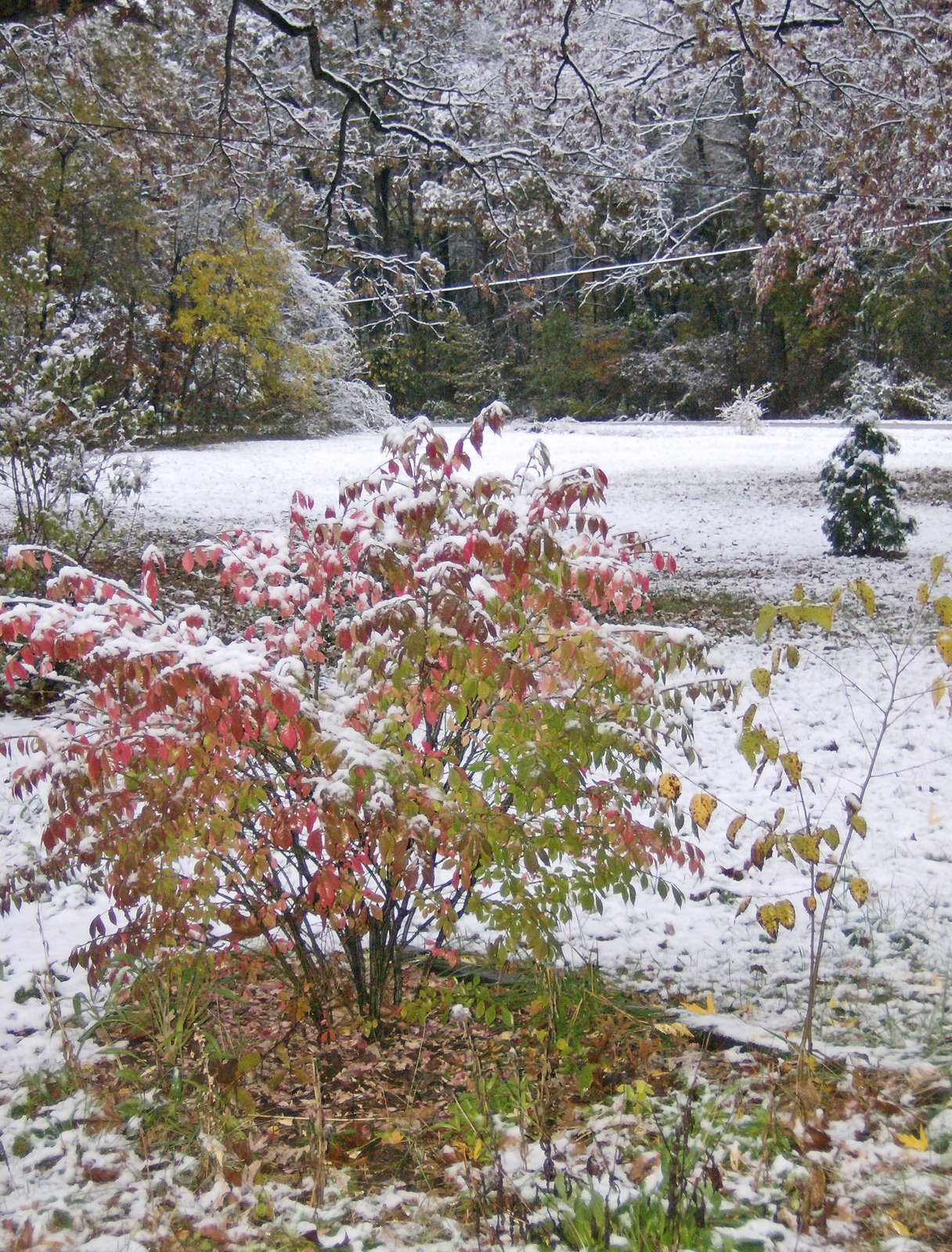 [HPIM6299_edited-1.jpg]