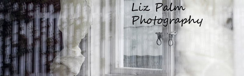 Liz Palm Photography