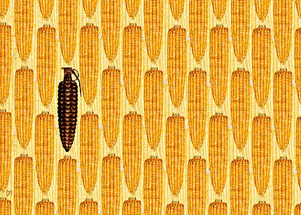 [monsantoBcorn-grenade-the-winning-imag.jpg]