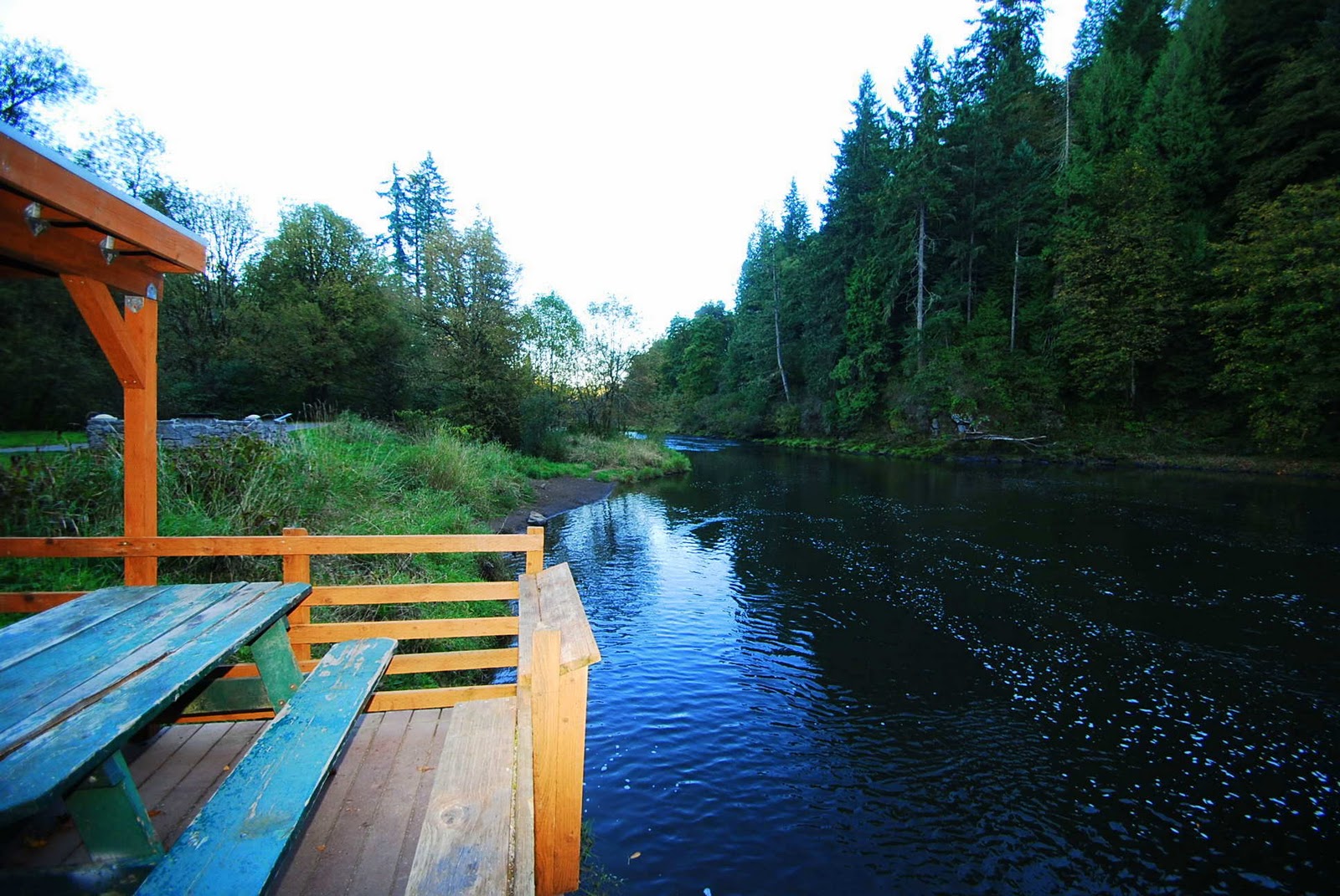 Arbor Cove Field's Bridge Park just steps away!