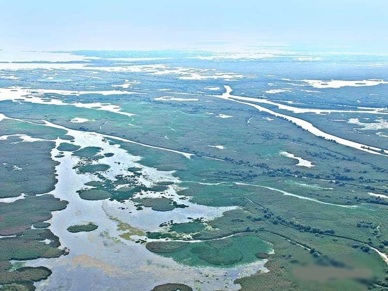 Место впадения волги в каспийское море