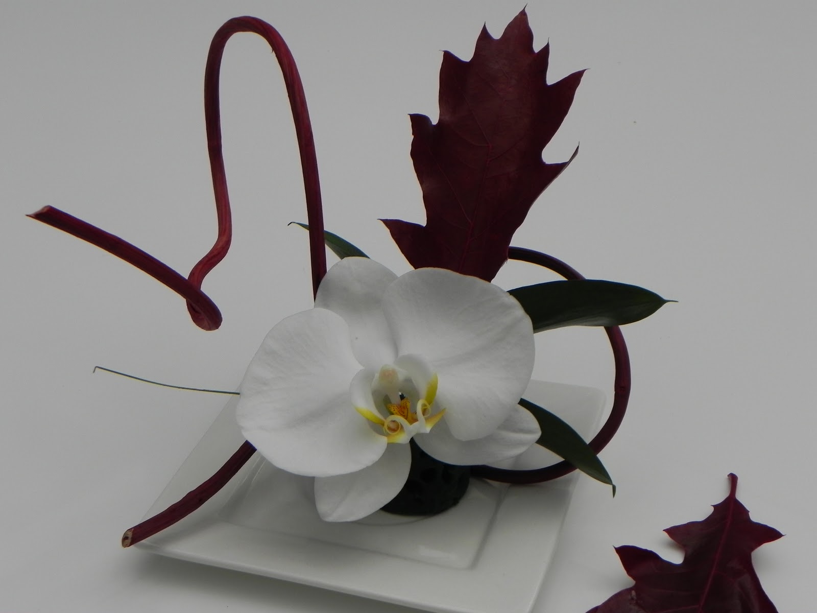 ikebana...arte zen "ikebana Simplicity"