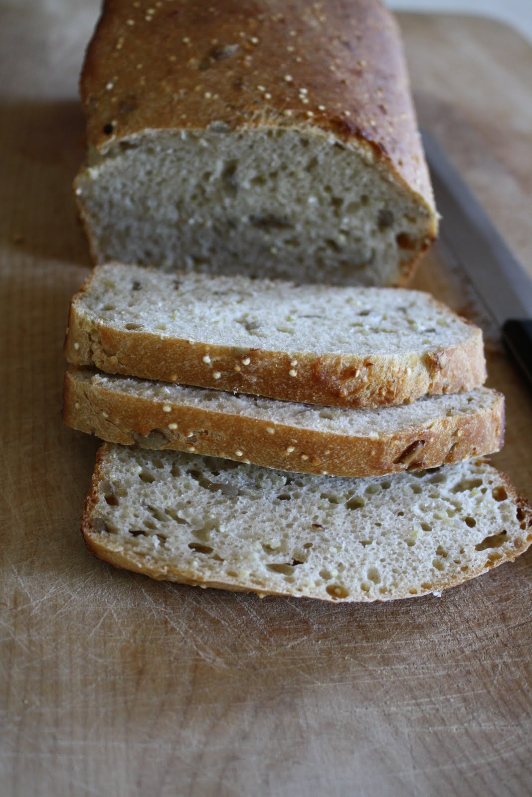 Versatile Vegetarian Kitchen Whole Wheat and Quinoa Sourdough Bread