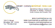 Sean Casey Animal Rescue: Adoptions
