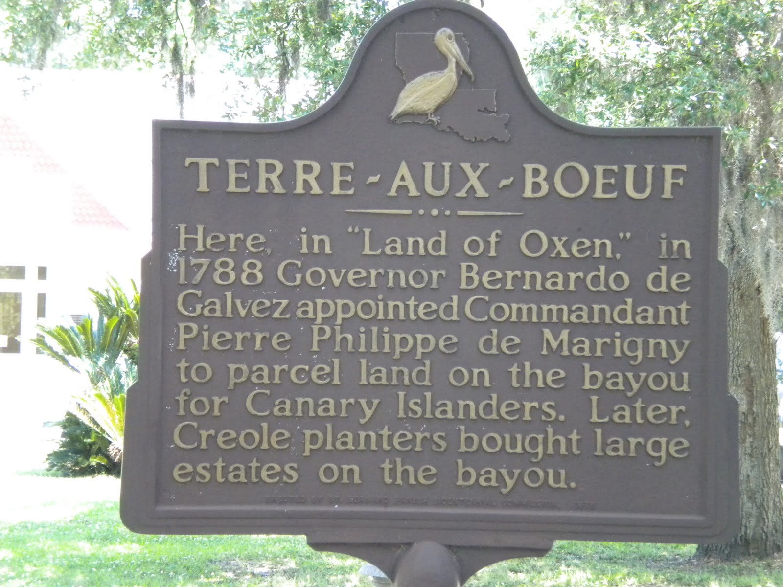 Balaenius Rex!! Los Islenos Museum