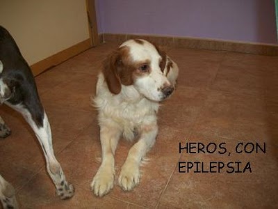 [Heros,con+epilepsia.JPG]