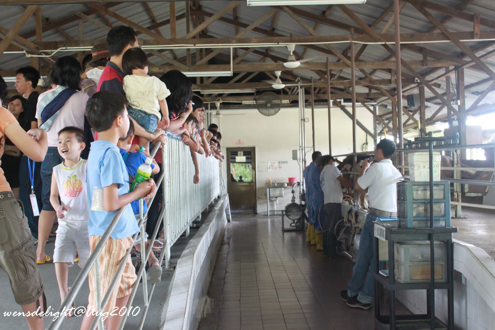 Wen's Delight Hay Dairies Farm A Pictorial