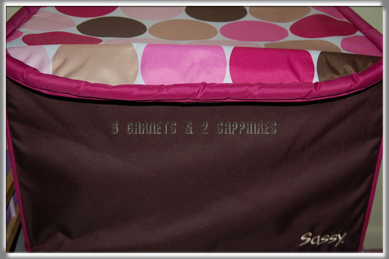 3 & 2 Sapphires Giveaway & Review Sassy SoftSided Toy
