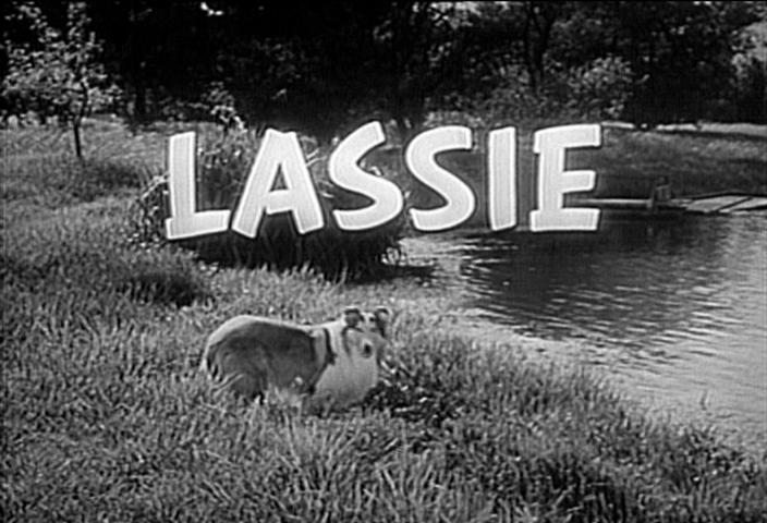 [lassie2.jpg]