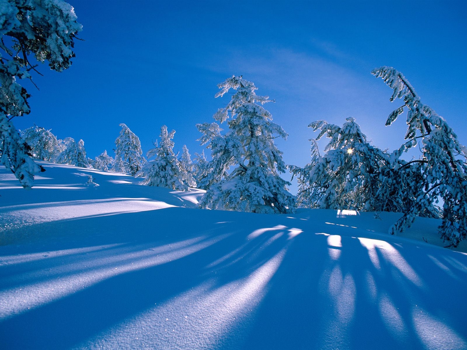 Wallpapers HD Winter:Computer Wallpaper | Free Wallpaper Downloads