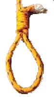[petla.gif]