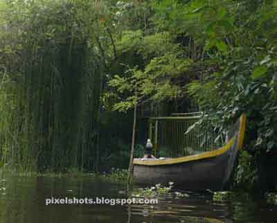 boats,kerala country boat,boats in kumarakom,kerala,canoes,vallom,vanchy,boating