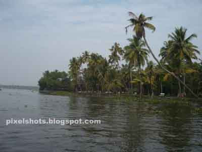 vembanadu lake photos and info, vembanadu lake and coconut trees, resorts in kumarakom, kumarakom lake photos and info, boating in kumarakom, vembanadu kayal, kerala backwaters