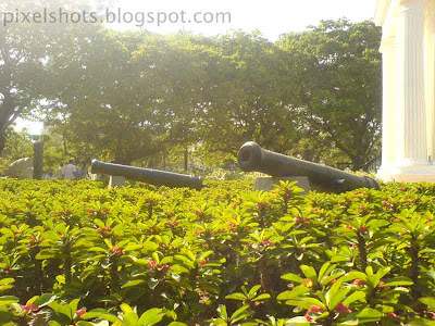 canons in the garden photographs,from a park in pondycherry tamilnadu india,recreation parks,cactus-plant-flowers and cannons