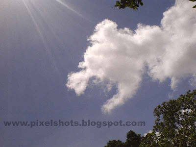 clouds formation in sunny sky like a dogs opened mouth