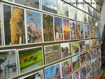photos showing photographs for sale about sceneries in kerala
