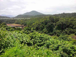 tropical forests landscape views,western ghats forests,thenmala forests,vegetation of western ghats photographed from thenmala,road side tropical forests
