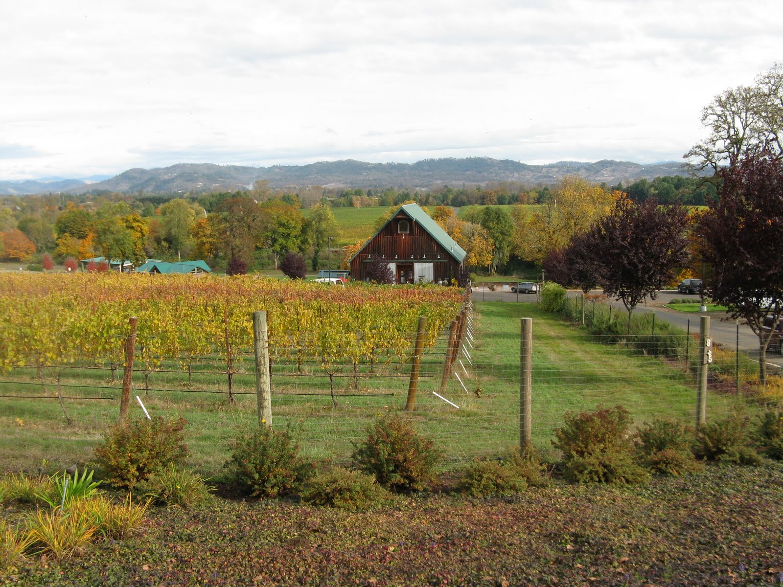 Tarra's Travels Roseberg, Oregon in the Umpqua Valley