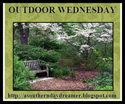[Outdoor_Wednesday_logo[5].png]