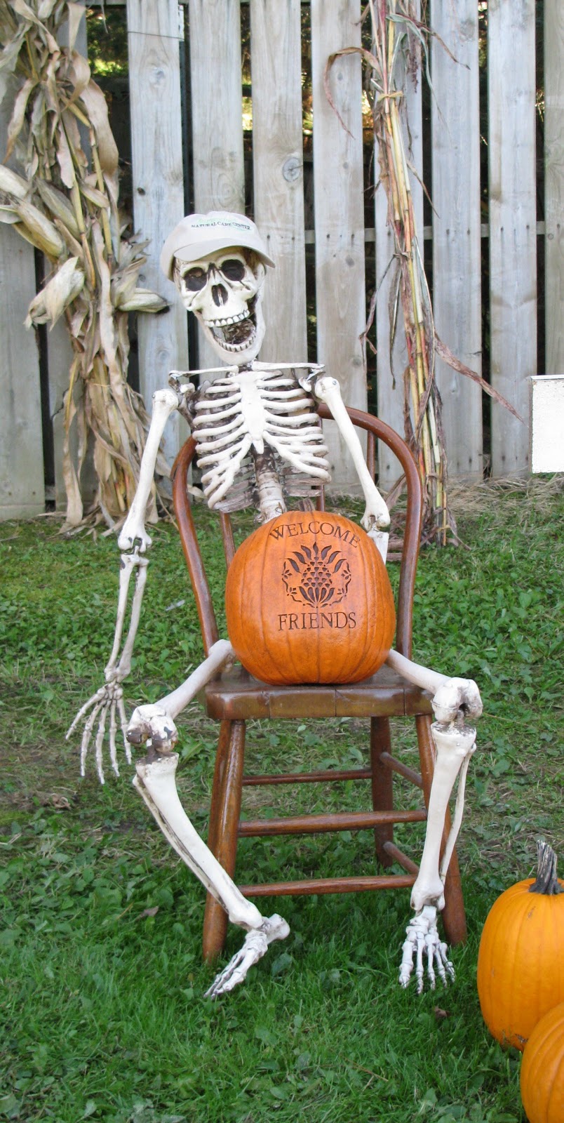 Applestone Cottage: A Pumpkin Patching we will go and a little Autumn