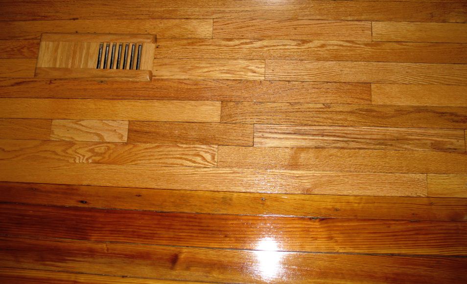 What Does Termite Damage Look Like On Hardwood Floors Carpet Vidalondon