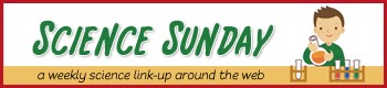 Adventures in Mommydom: Science Sunday