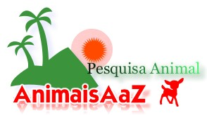 Pesquisa e Informação