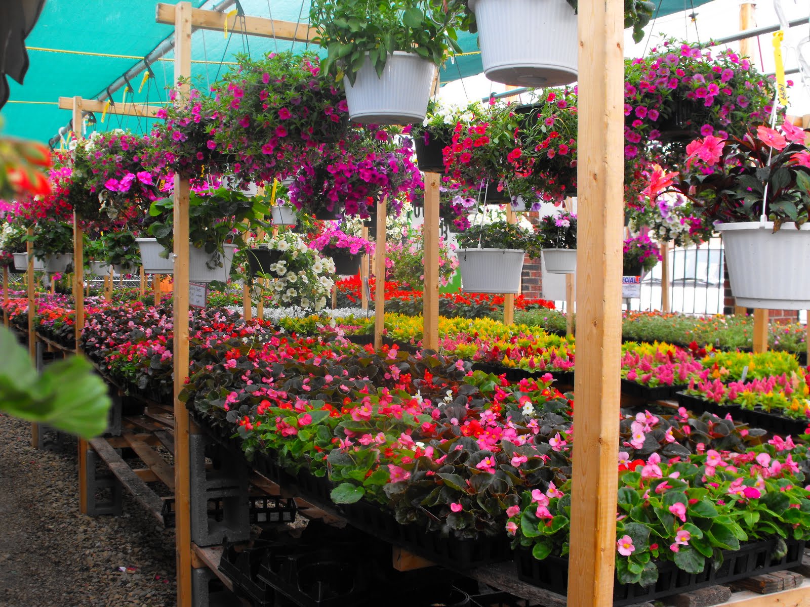 Corki Combo Produce Junction Flowers Wedding Produce Junction Flowers Overview & Prices 422